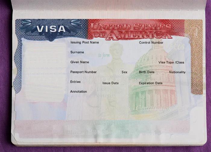 Platinum visa 1