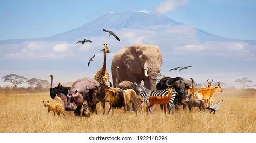 Kenya Visa